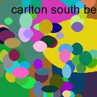 carlton south beach miami