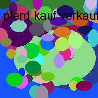 pferd kauf verkauf