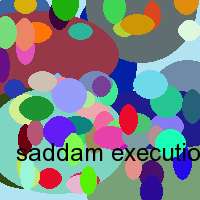 saddam execution new video