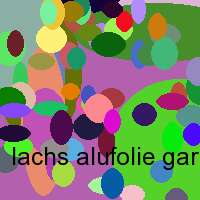 lachs alufolie garen